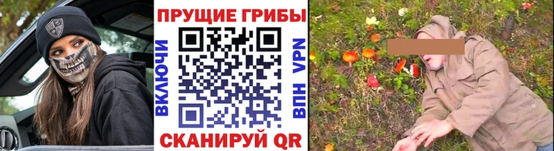 Галлюциногенные грибы прущие грибы  Плавск 